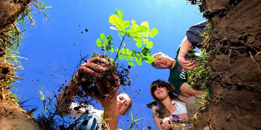 Volunteers planting a tree sapling at Shamwari