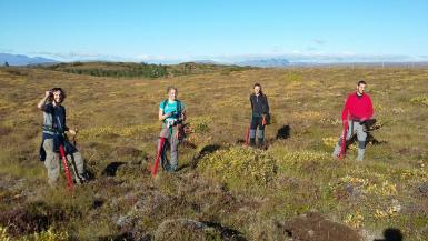 Volunteers doing reforestation work in Iceland