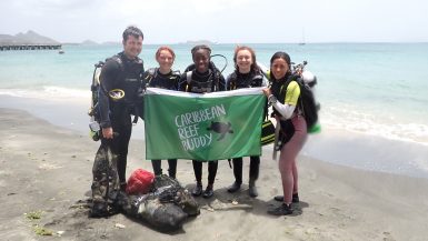 volunteers_reef_buddy