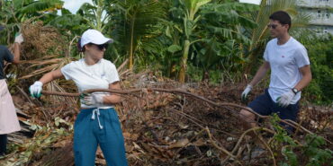 Volunteers moving dead plants and large leaves into a pile