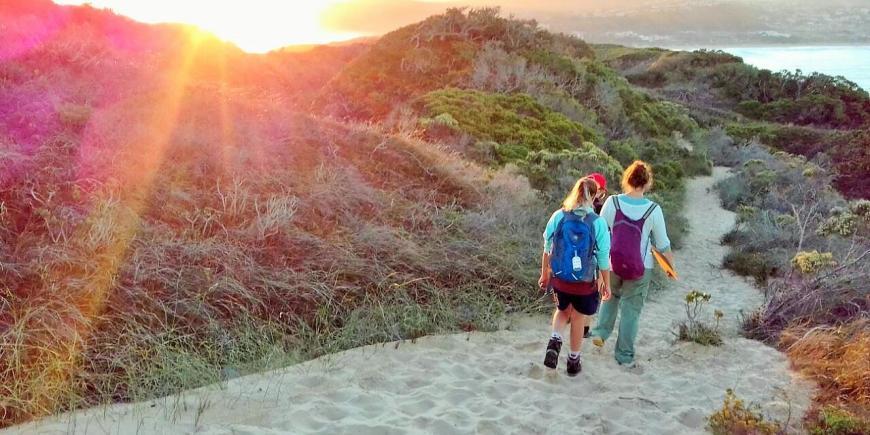 Volunteers walking on beach in South Africa