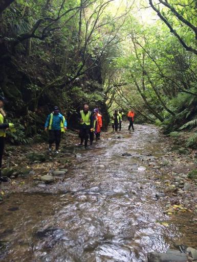 Volunteers walking in river in New Zealand