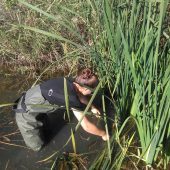 Conservation Volunteer Project, Spain