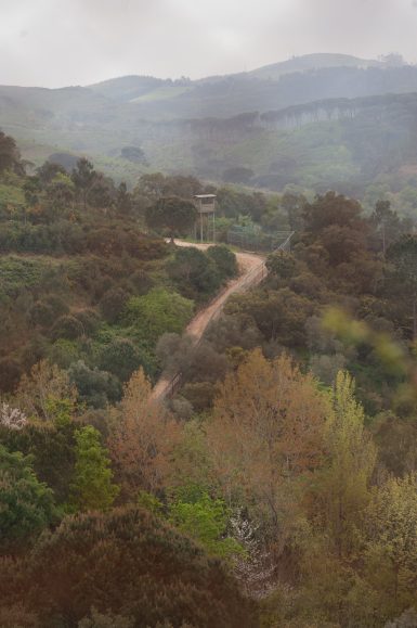 Wolf sanctuary in Portugal
