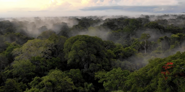 About The Las Piedras region