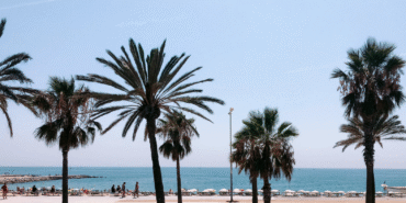 marine conservation volunteering and diving in Barcelona